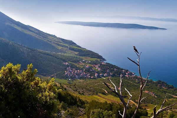 Neposreden stik z lastniki nastanitve Hvar - Ivan Dolac