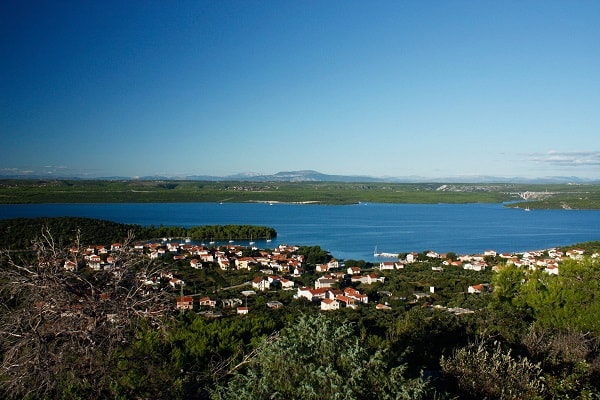 Zasebna namestitev Raslina