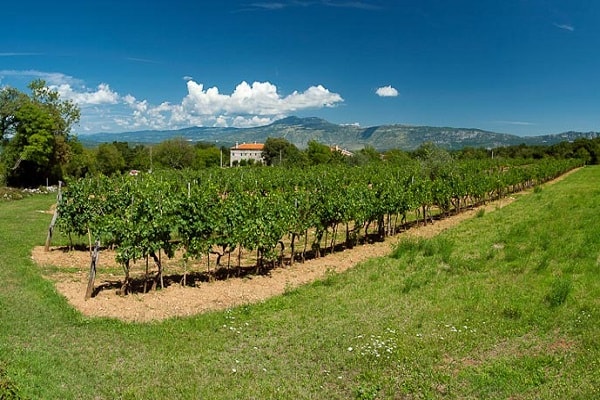 Zasebna namestitev Nedešćina