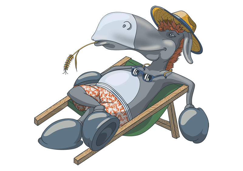 Mago - maskota Apartmaji-Hrvaska.si (Laganini.com)