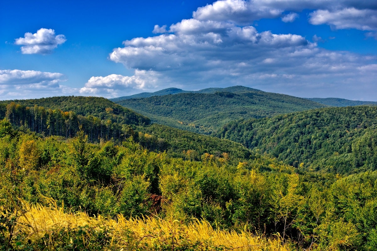 Kontinentalna Hrvaška - Hrvaška