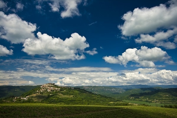 Motovunski gozd, Hrvaška
