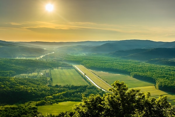Motovunski gozd, Hrvaška