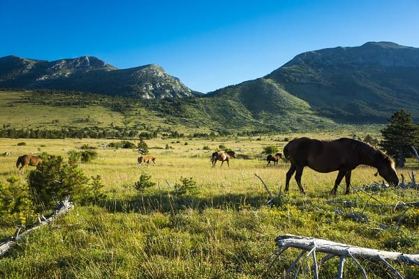 Naravni park Velebit, Hrvaška