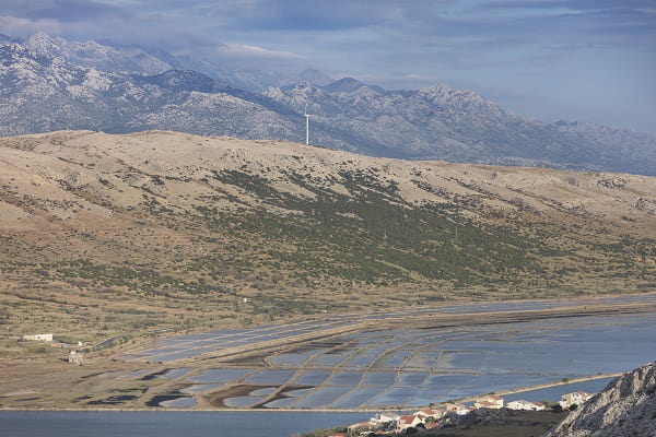 solina na otoku Pagu, Hrvaška
