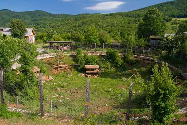 Zavetje za medveda Kuterevo, Hrvaška